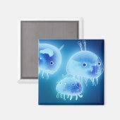 Gelee 2013 magnet (Vorderseite/Rückseite)