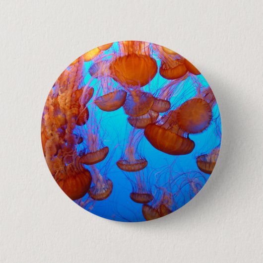 Gelee-Massenkarambolage-Knopf Button (Vorderseite)