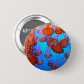 Gelee-Massenkarambolage-Knopf Button (Vorne & Hinten)
