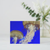Gelee Postkarte (Stehend Vorderseite)