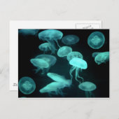 Gelee Postkarte (Vorne/Hinten)