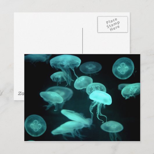 Gelee Postkarte (Vorne/Hinten)