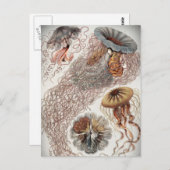 Gelees (Quallen) in Pastellfarben Postkarte (Vorne/Hinten)