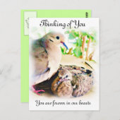 Gelegentlich_ Postkarte (Vorne/Hinten)