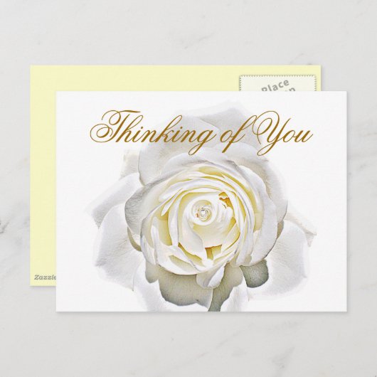 Gelegentlich_ Postkarte (Vorne/Hinten)