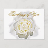 Gelegentlich_ Postkarte (Vorderseite)