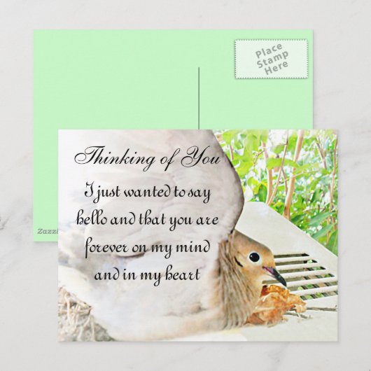 Gelegentlich_ Postkarte (Vorne/Hinten)