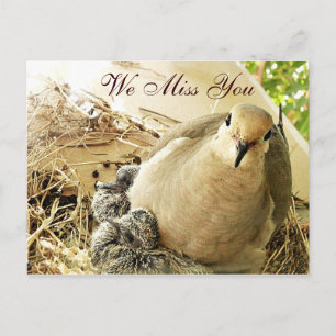 Gelegentlich_ Postkarte