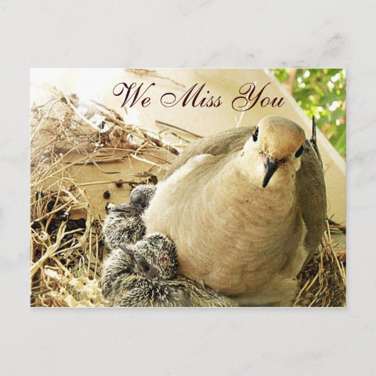 Gelegentlich_ Postkarte (Vorderseite)