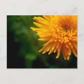 Gelegentlich Schöne Postkarte (mum) (Vorderseite)