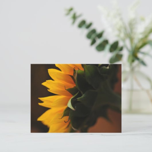 Gelegentlich Schöne Postkarte (Sonnenblume) (Stehend Vorderseite)