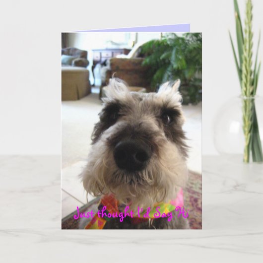 Gelegentliche hallo-Gruß-Karte Karte (Vorderseite)