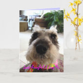 Gelegentliche hallo-Gruß-Karte Karte (Gelbe Blume)