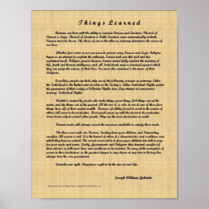 Gelernte Dinge Poster