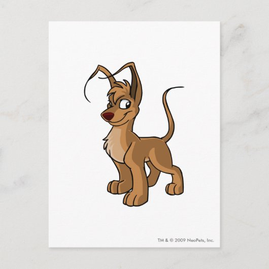 Gelert Brown Postkarte (Vorderseite)