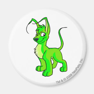Gelert Glows Magnet
