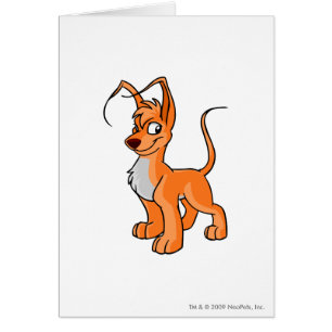 Gelert Orange