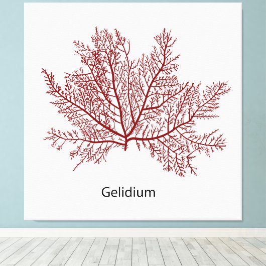 Gelidium-Algen Leinwanddruck (Insitu (Holzboden))