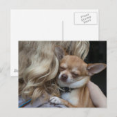 Geliebt Postkarte (Vorne/Hinten)