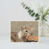 Geliebte Eichhörnchen Postkarte (Stehend Vorderseite)