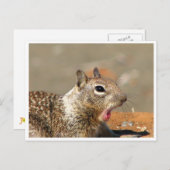 Geliebte Eichhörnchen Postkarte (Vorne/Hinten)