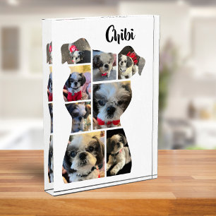 Geliebter Familienhund bewahrt Fotokassenkollage-B Fotoblock