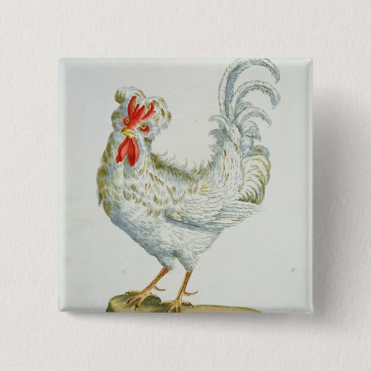 Gelockter junger Hahn, c.1767-76 (Hand farbiges en Button (Vorderseite)