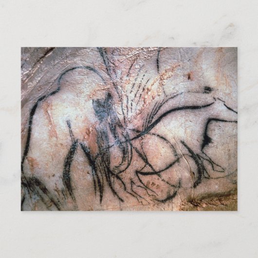 Gemälde, auf denen Mammut und Rinder aus dem C dar Postkarte (Vorderseite)