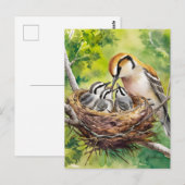 Gemälde aus Nest Postkarte (Vorne/Hinten)