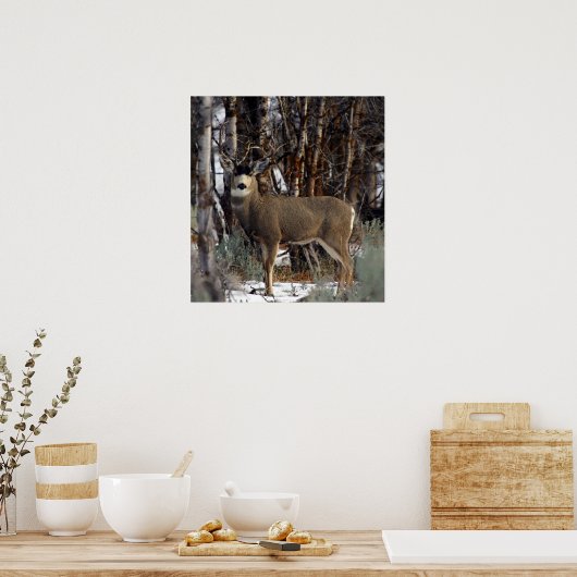 Gemälde der Mule,4 Poster (Küche)