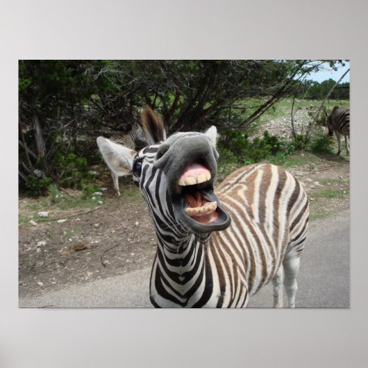 Gemälde des fröhlich zebrafarbenen poster (Vorne)