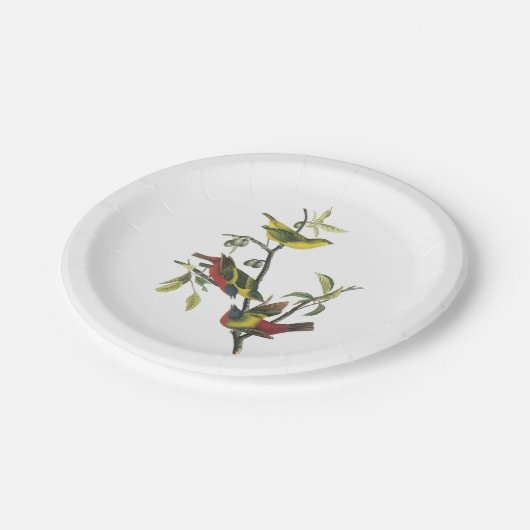 Gemälde Jagd von Audubon Pappteller (Schrägansicht)