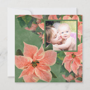 Gemälde Korallenpoinsettia Foto Weihnachten