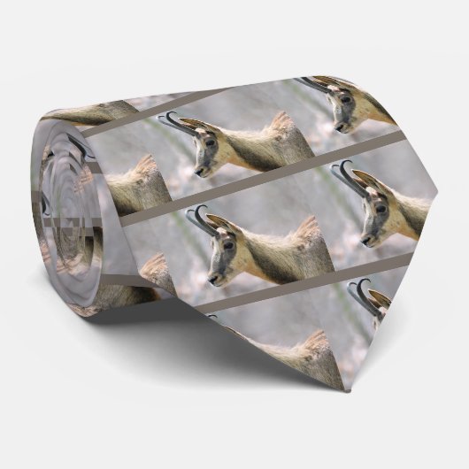 Gemälde Krawatte (Gerollt)