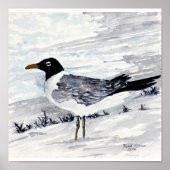 Gemälde und Drucke von Seegraswiesen (Vorne)