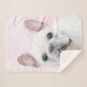 Gemälde von Französisch-Bulldog (Cream/White) - Hu Sherpadecke (Vorderseite (Horizontal))
