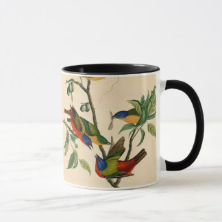 Gemälde von John James Audubon Bird Tasse