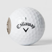 Gemälde von Löwen, die große Katzen brüllen Golfball (Logo)