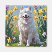 Gemälde von Samoyed Dog Spring Blumen Magnet (Vorne)