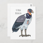 Gemälde zum Cartoon von Königsgeier Postkarte (Vorne/Hinten)