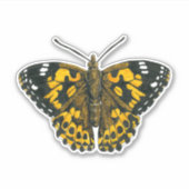 Gemäldeschmetterling Aufkleber (Vorderseite)