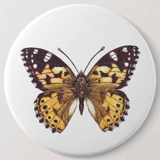 Gemäldeschmetterling Button (Vorderseite)