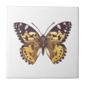 Gemäldeschmetterling Fliese (Vorderseite)