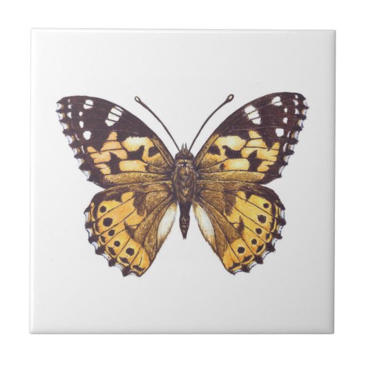 Gemäldeschmetterling Fliese (Vorderseite)