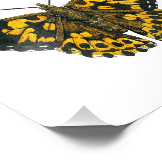 Gemäldeschmetterling Fotodruck (Ecke)