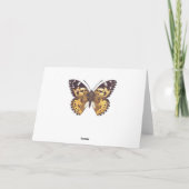 Gemäldeschmetterling Karte (Rückseite)
