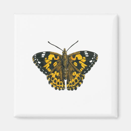 Gemäldeschmetterling Magnet (Vorne)