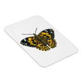 Gemäldeschmetterling Magnet (Rechte Seite)