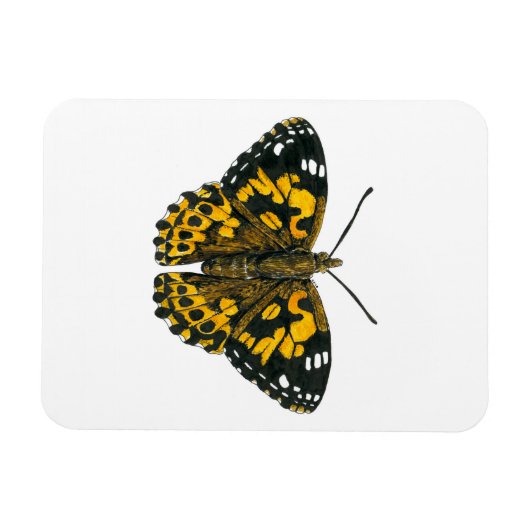 Gemäldeschmetterling Magnet (Horizontal)