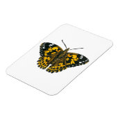 Gemäldeschmetterling Magnet (Linke Seite)